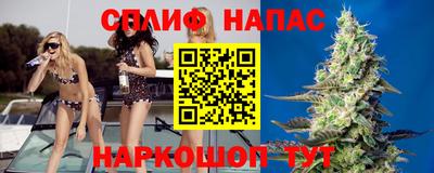 твердый Краснознаменск