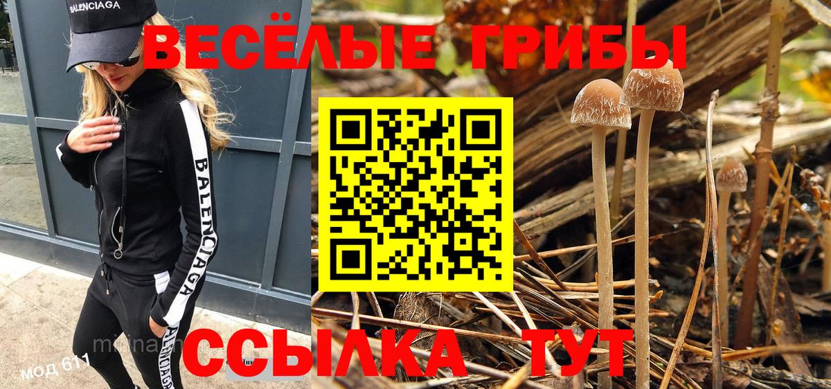 Псилоцибиновые грибы GOLDEN TEACHER Кинель