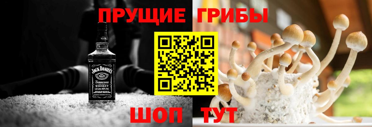 Кинель  Псилоцибиновые грибы мухоморы  наркошоп  Вход с VPN 